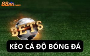 kèo cá độ bóng đá